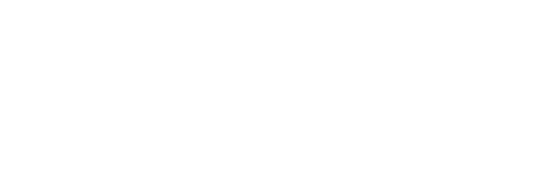 Barberis icon