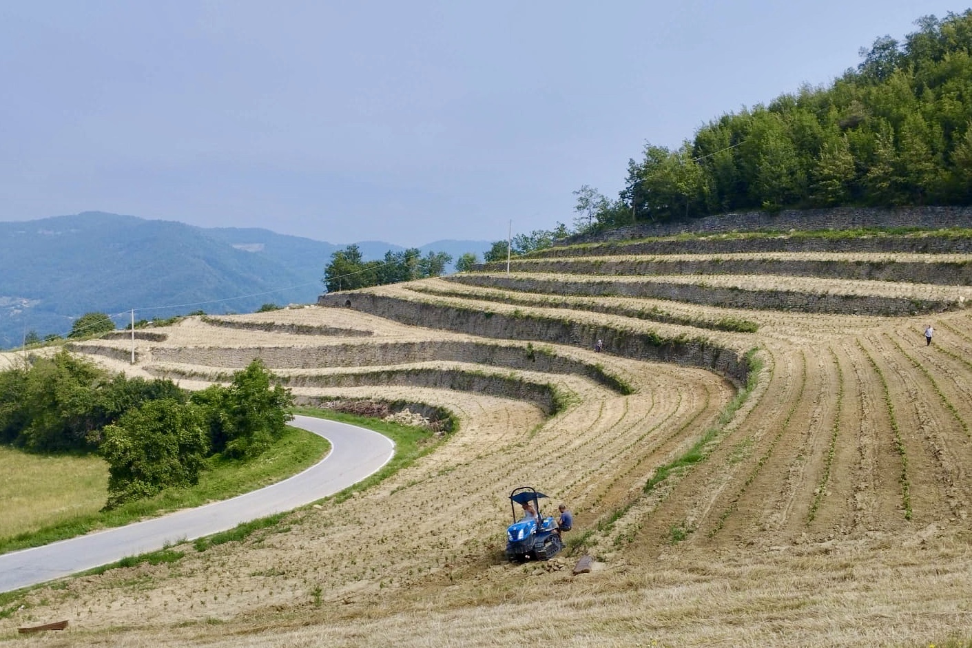 Quattro motivi per degustare consapevolmente i nostri vini…
